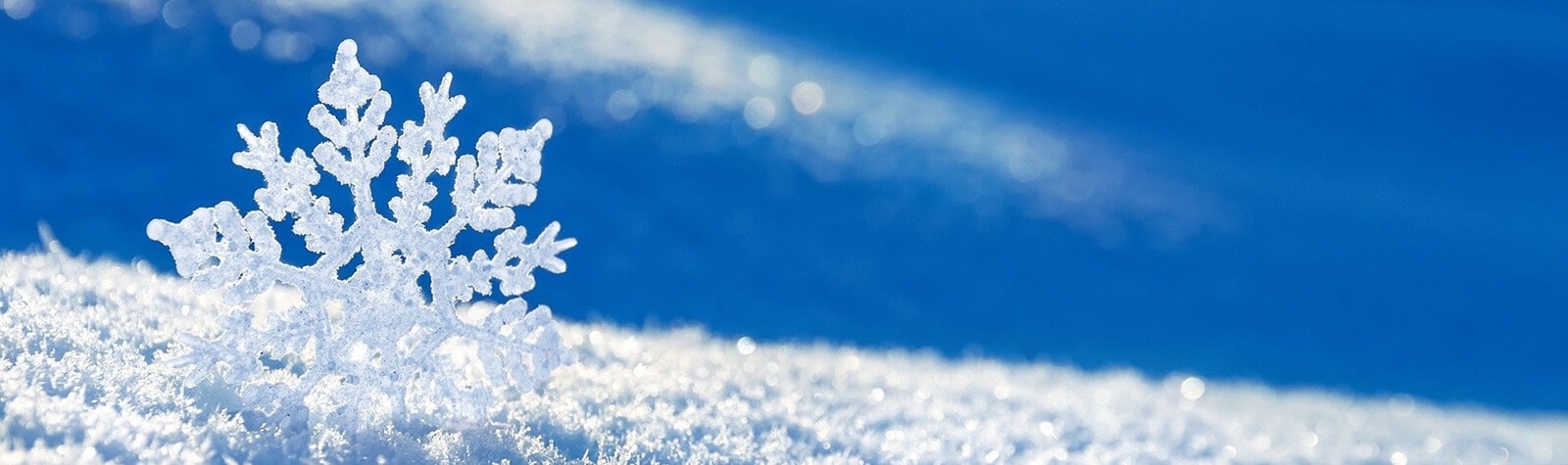 Is Snowflake Computing The Best Data Warehouse Solution?